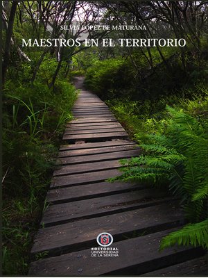 cover image of Maestros en el territorio